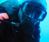 A diver during our underwater journey on 'Yellow Submarine'